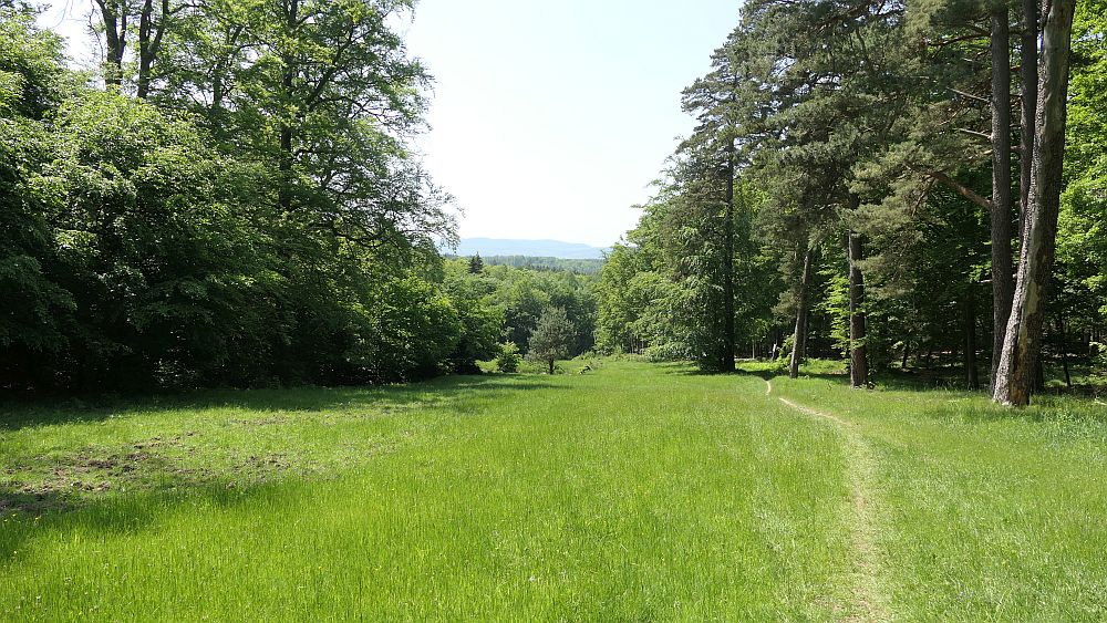 Hochrhoener