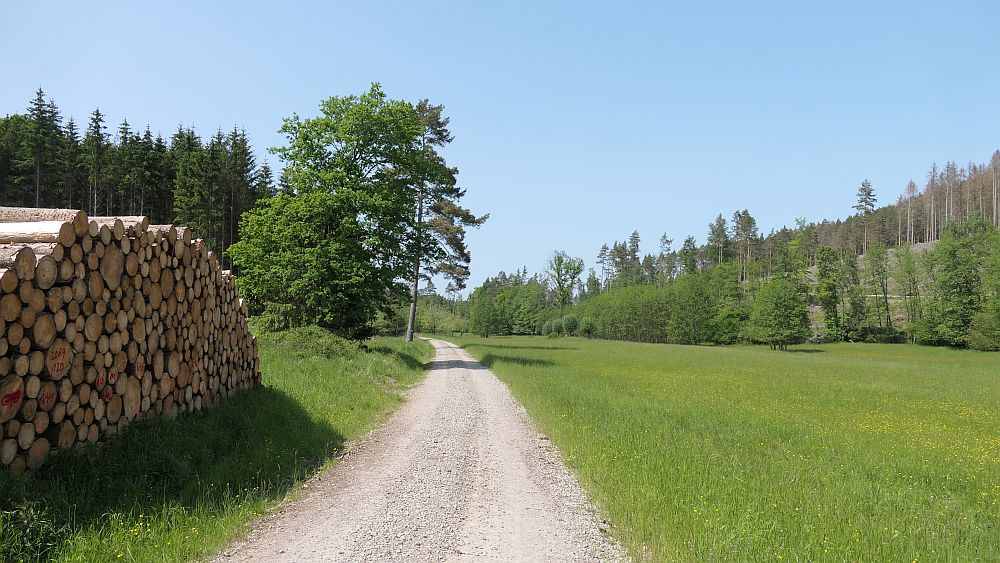 Hochrhoener