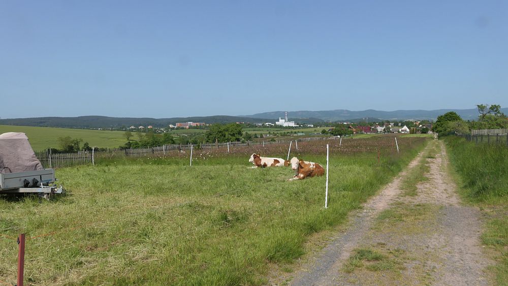 Hochrhoener