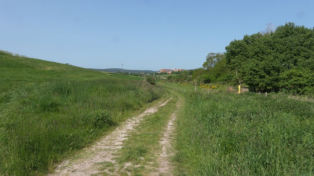 Hochrhoener