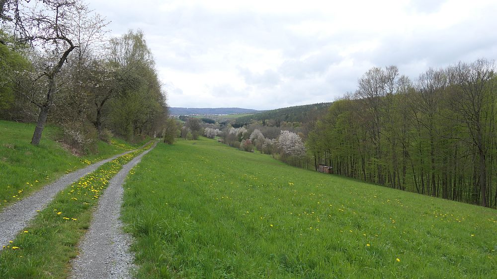 Hochrhoener