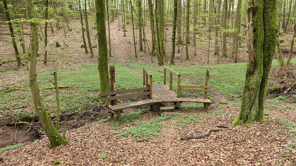 Hochrhoener