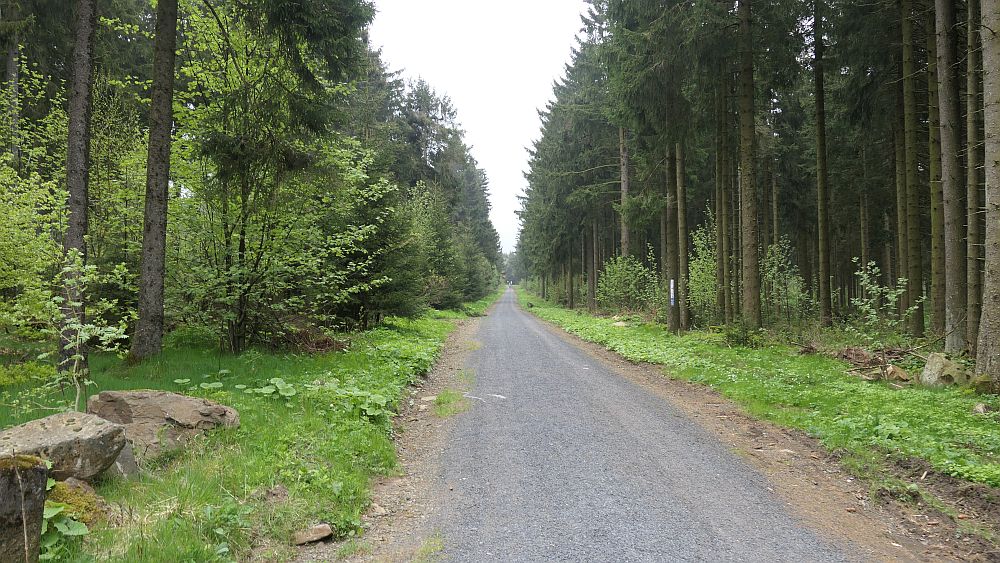Hochrhoener