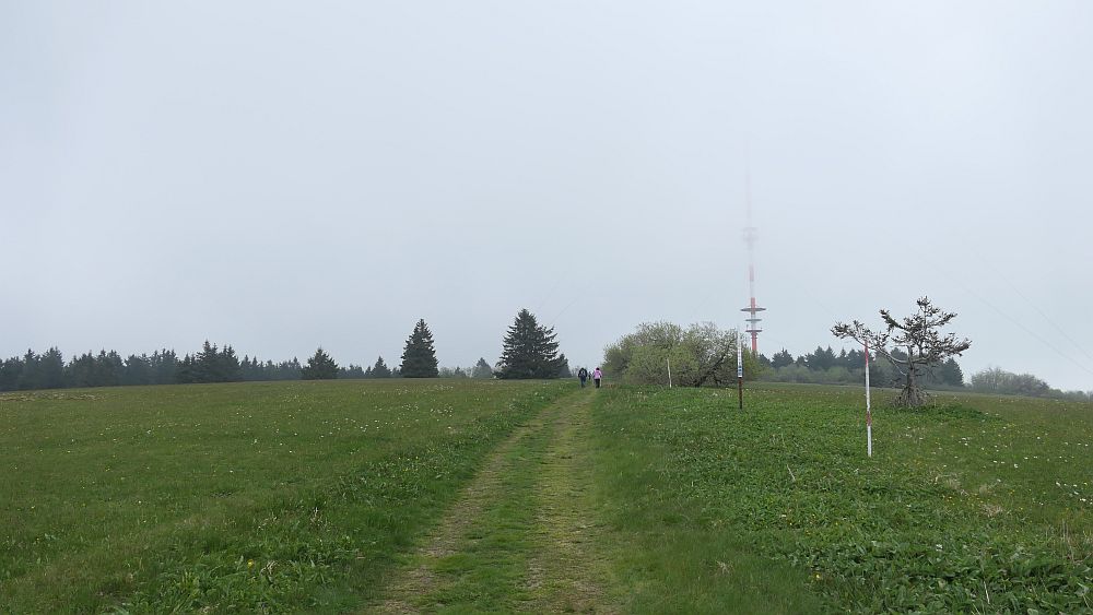 Hochrhoener