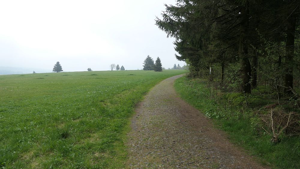 Hochrhoener
