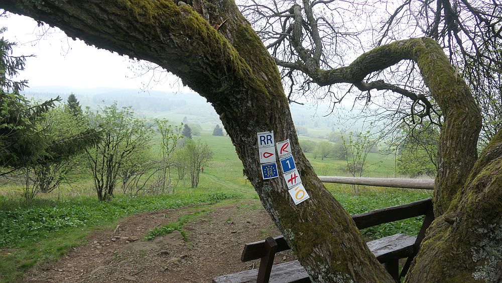 Hochrhoener