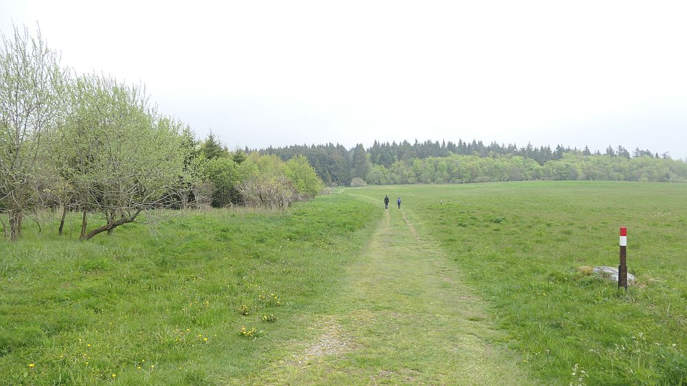 Hochrhoener