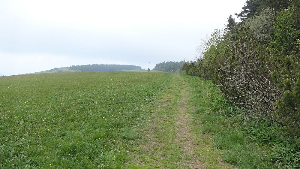 Hochrhoener