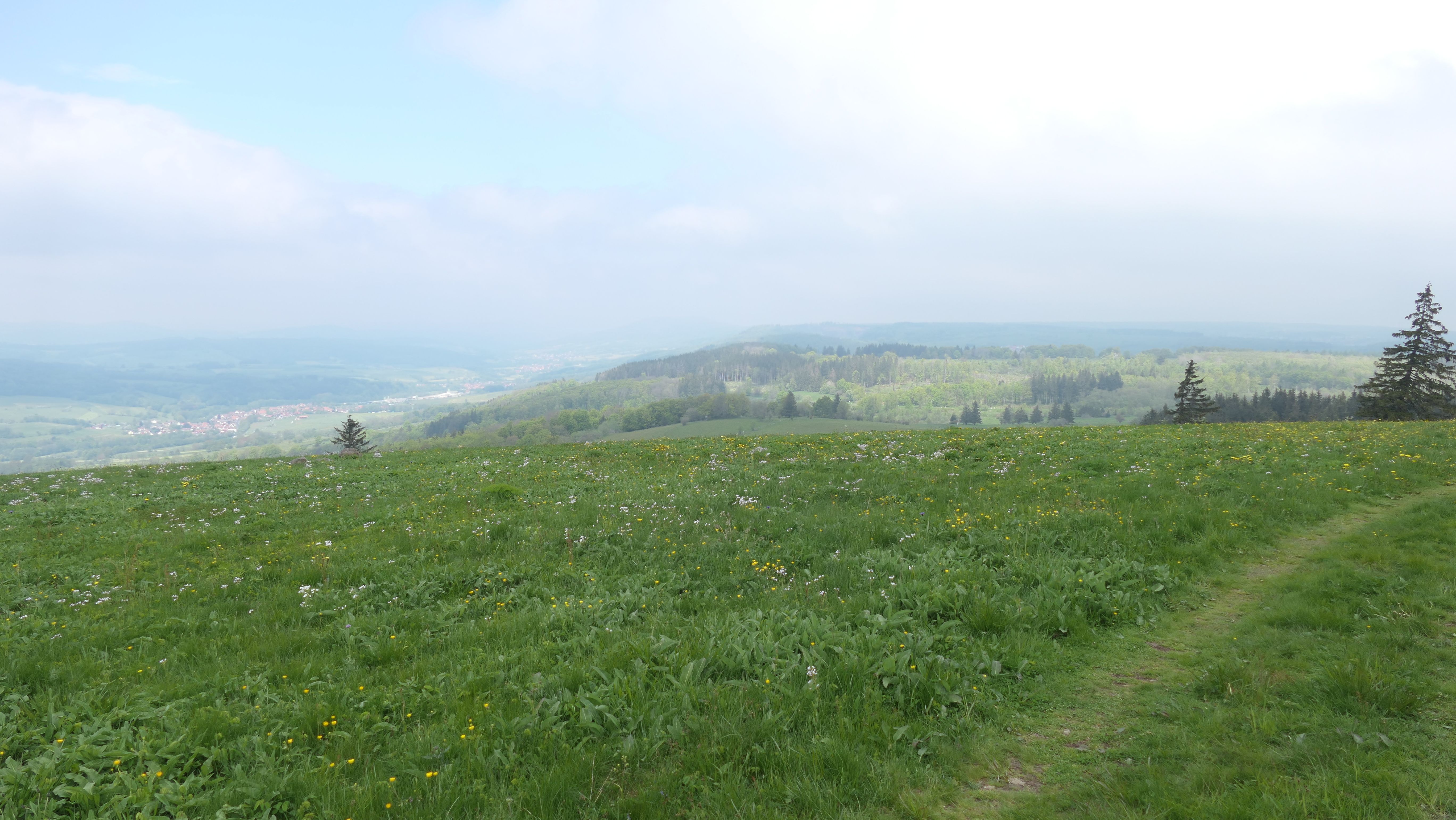 Hochrhoener