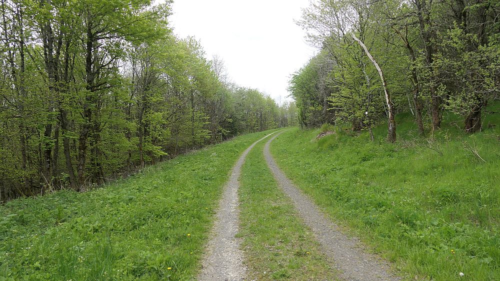 Hochrhoener