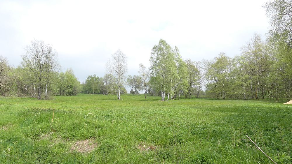 Hochrhoener