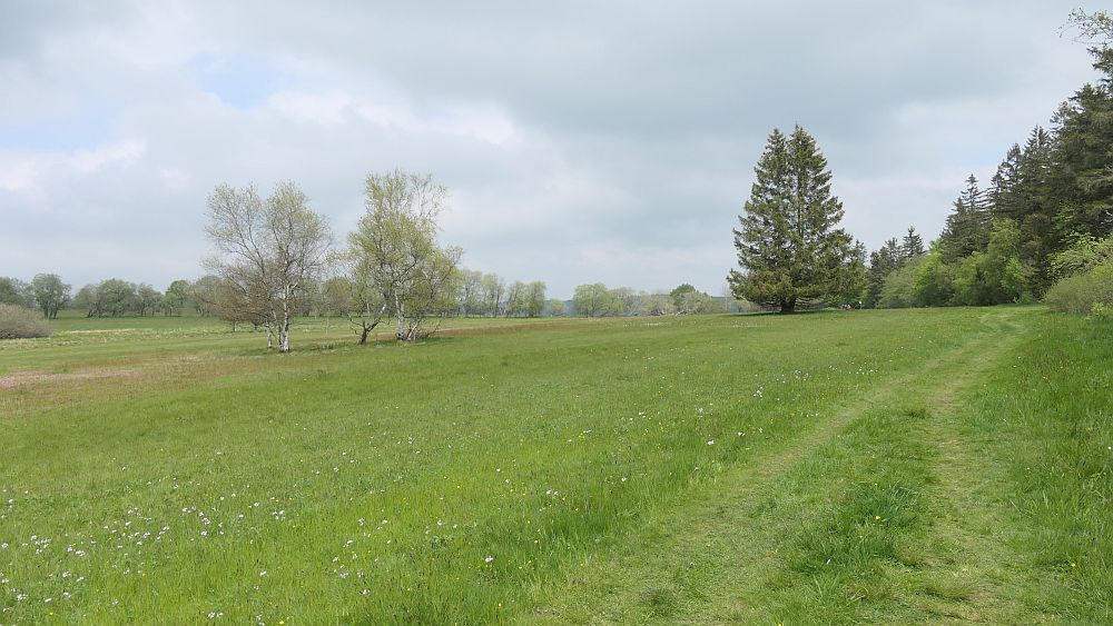 Hochrhoener