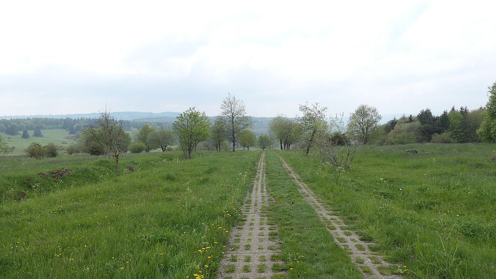Hochrhoener