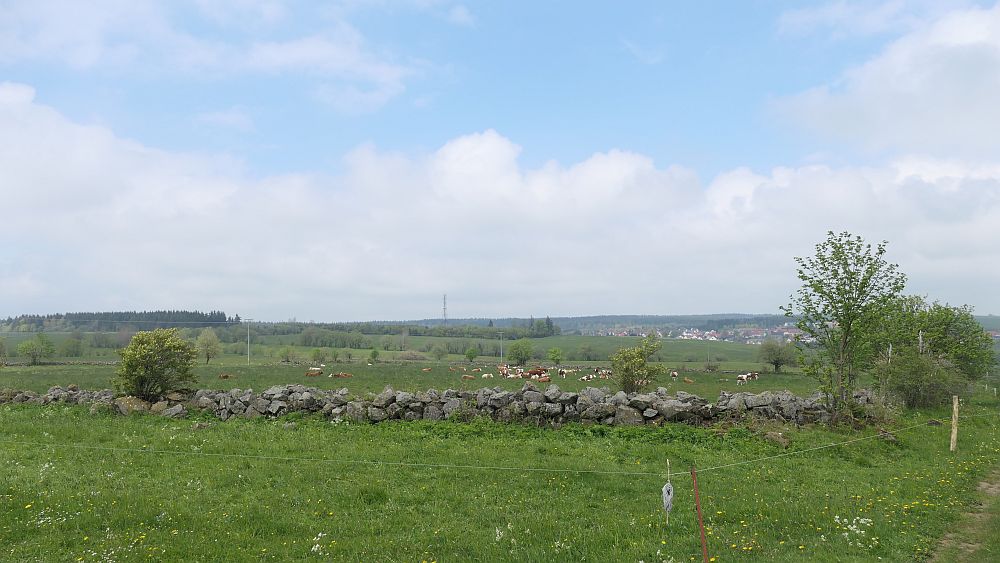 Hochrhoener