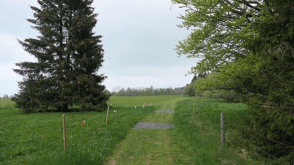 Hochrhoener