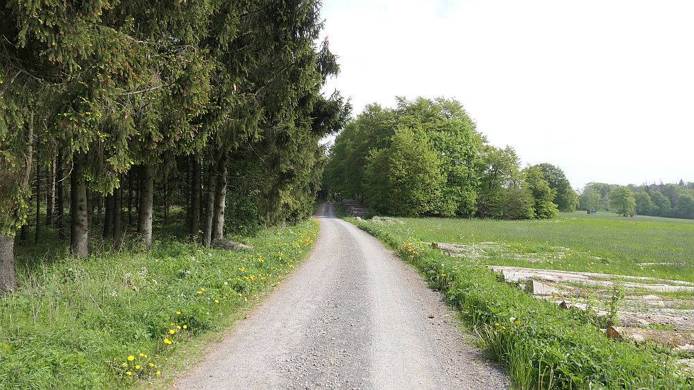 Hochrhoener