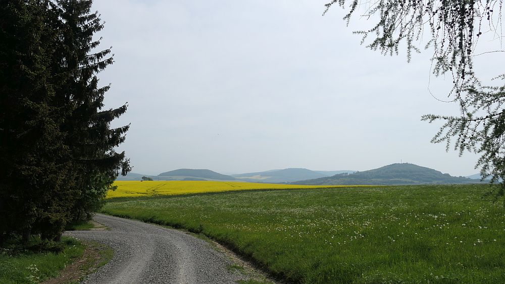 Hochrhoener