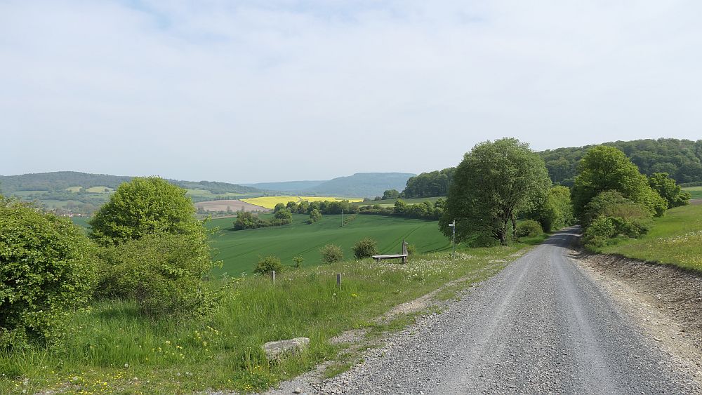 Hochrhoener