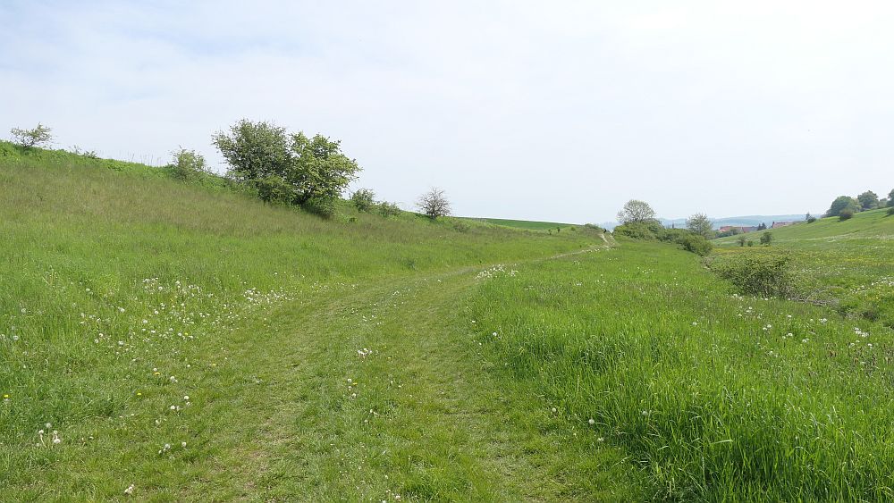 Hochrhoener