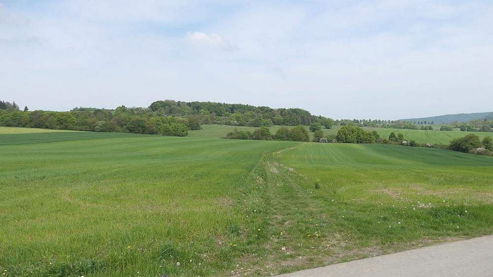 Hochrhoener