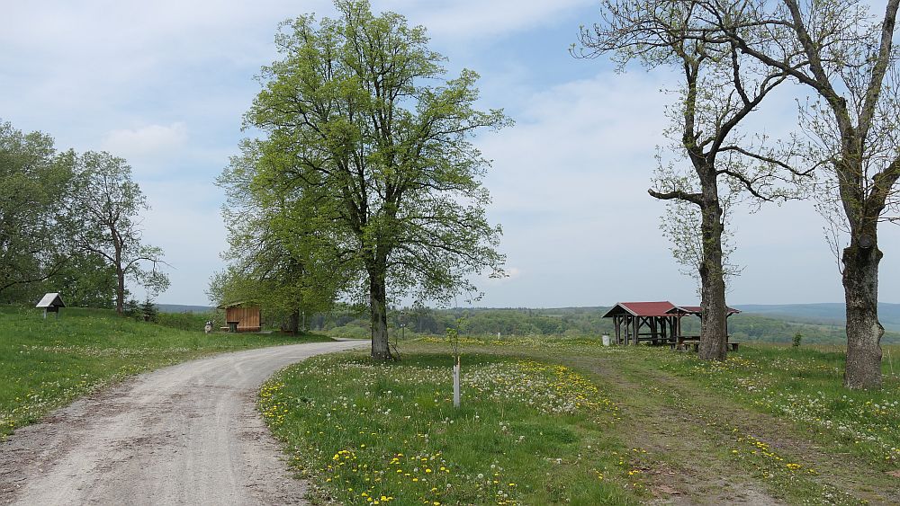 Hochrhoener