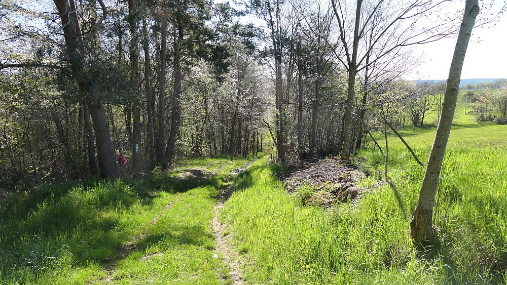 Hochrhoener