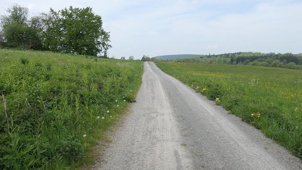 Hochrhoener