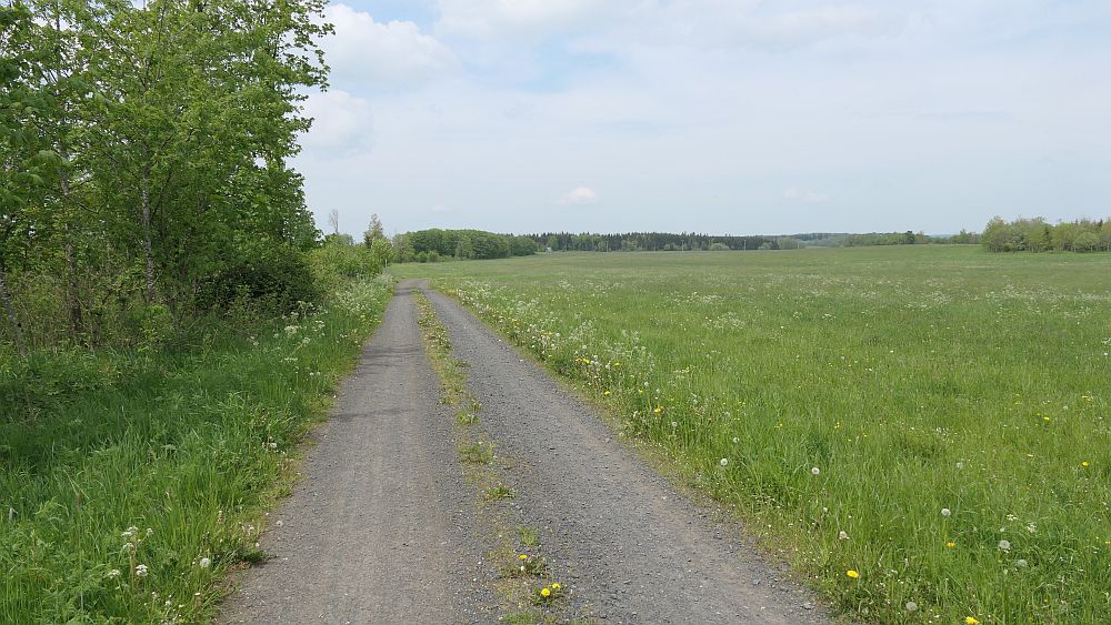 Hochrhoener