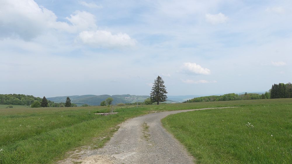Hochrhoener