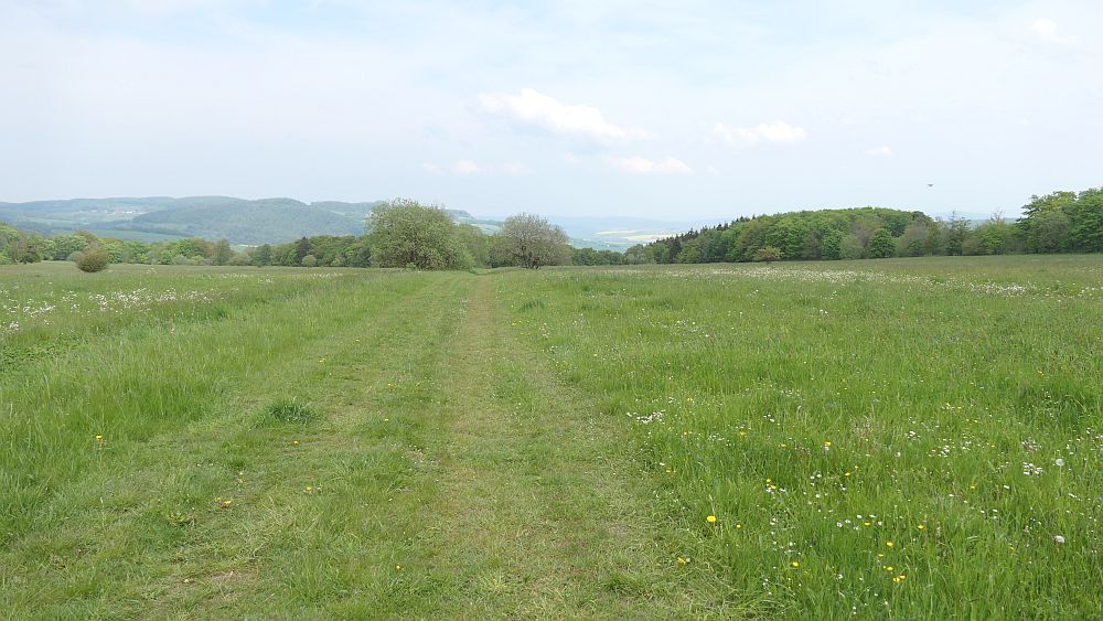 Hochrhoener