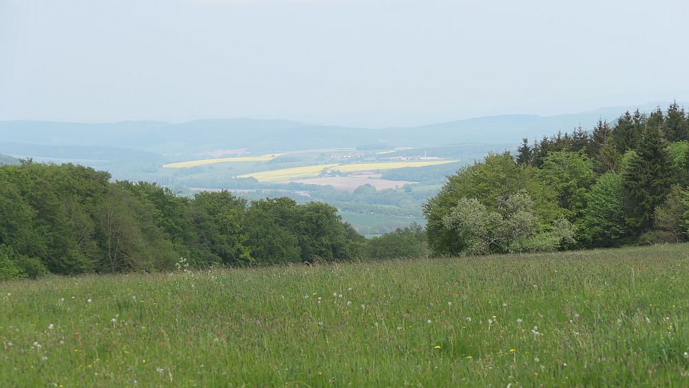 Hochrhoener