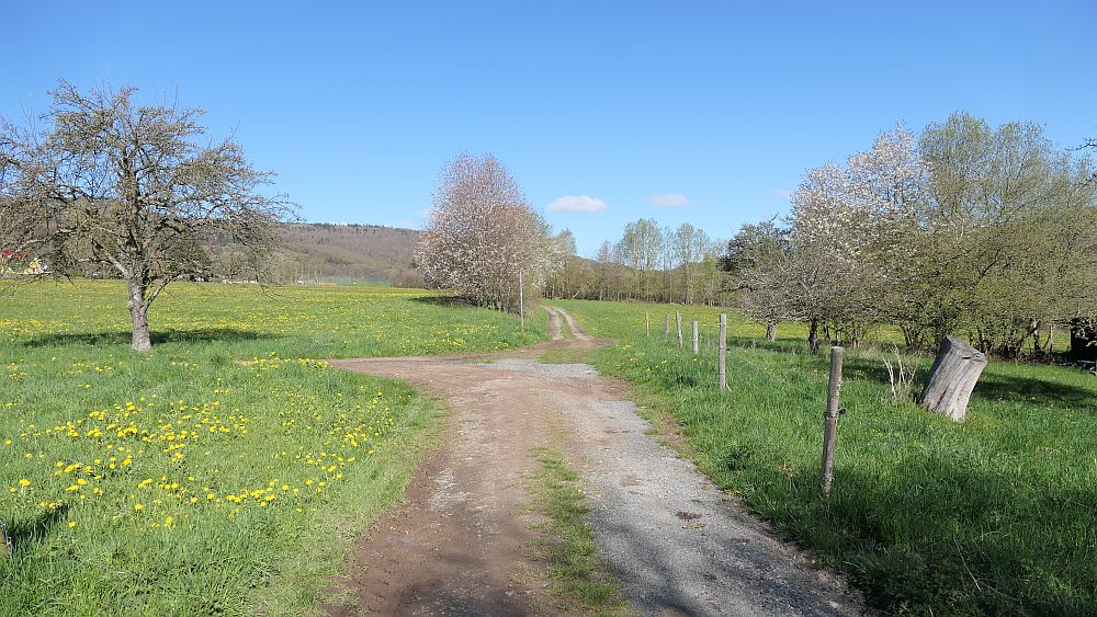 Hochrhoener