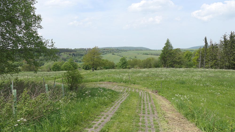 Hochrhoener