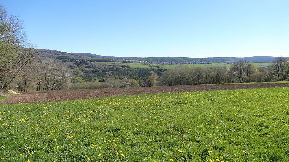 Hochrhoener