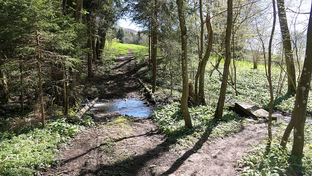 Hochrhoener