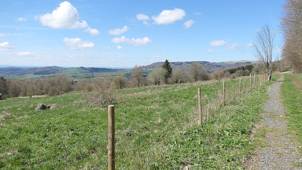 Hochrhoener