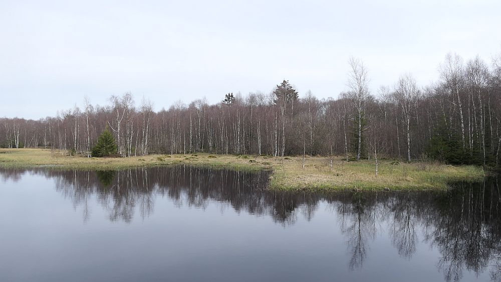 Hochrhoener