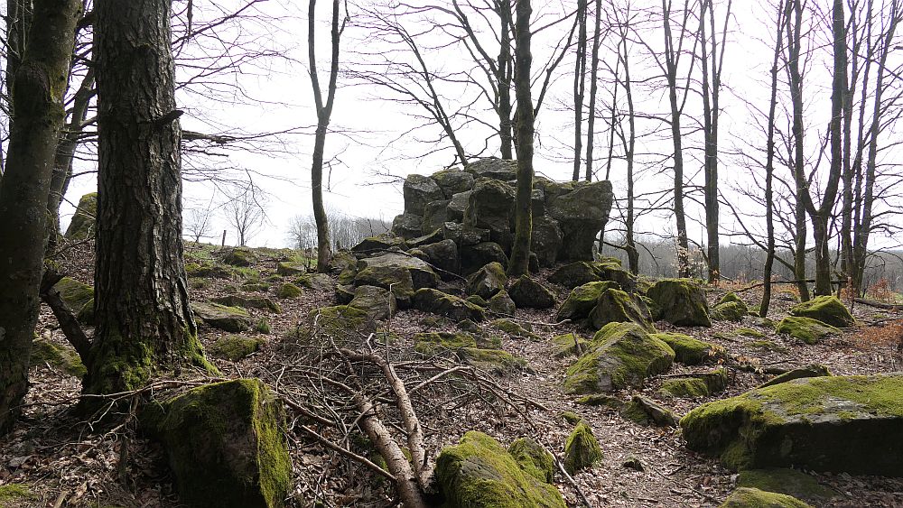 Hochrhoener