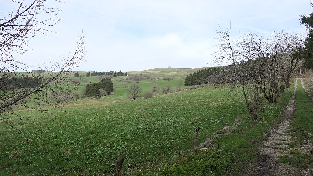 Hochrhoener