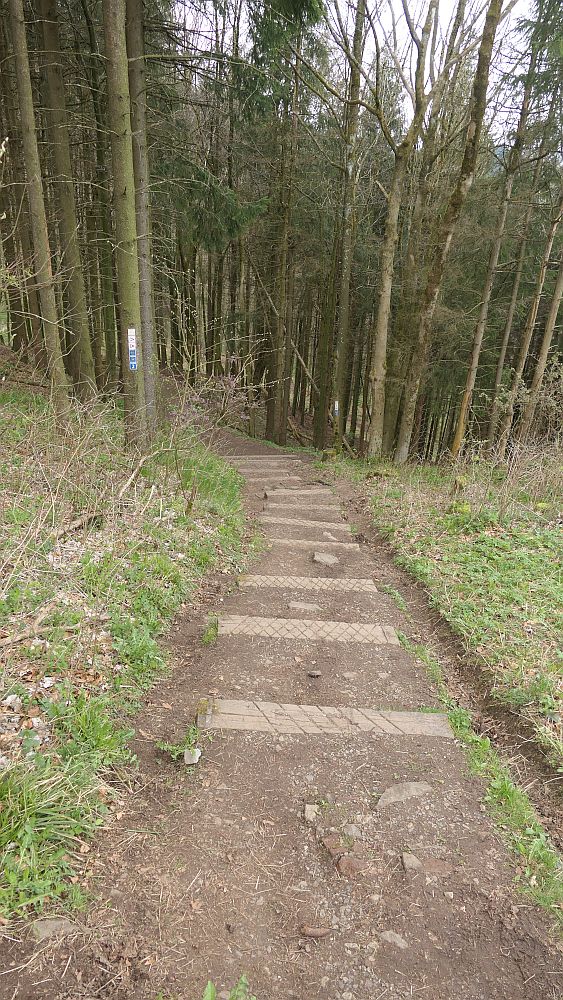 Hochrhoener
