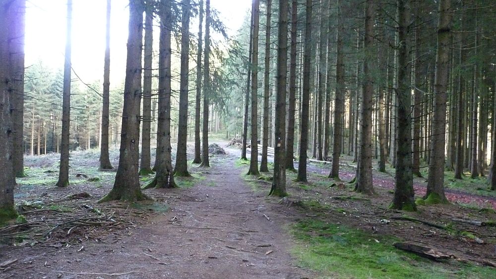 Sauerland Hoehenflug