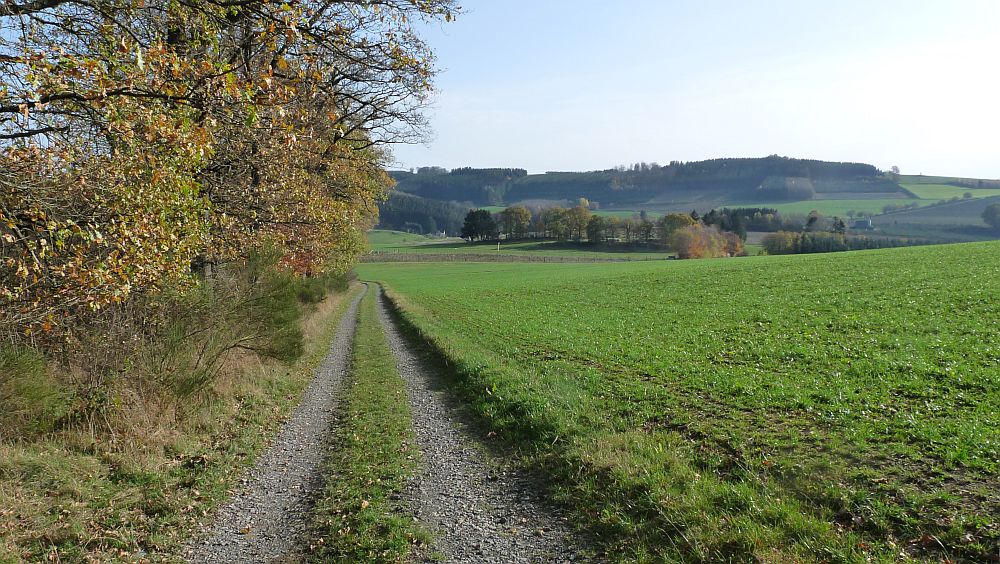 Sauerland Hoehenflug