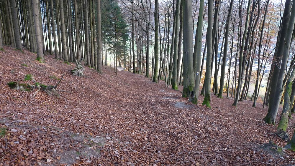 Sauerland Hoehenflug