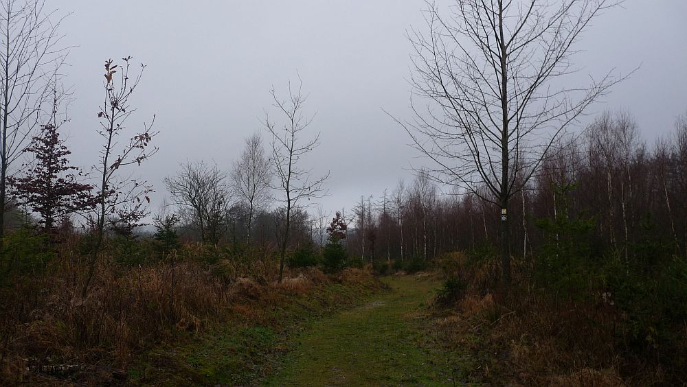 Sauerland Hoehenflug