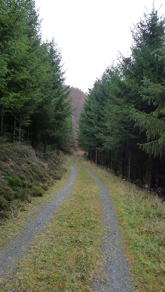 Sauerland Hoehenflug
