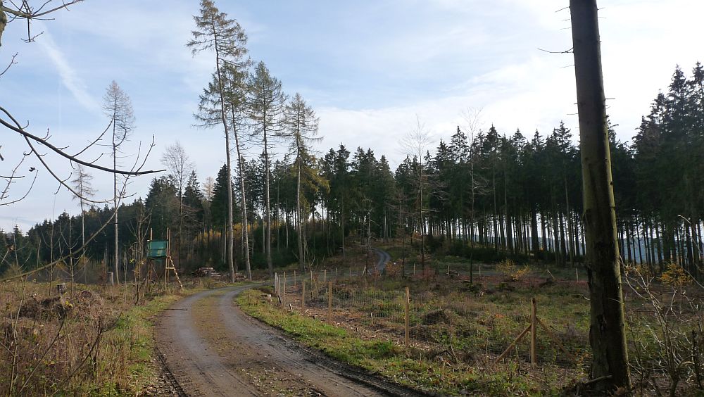 Sauerland Hoehenflug