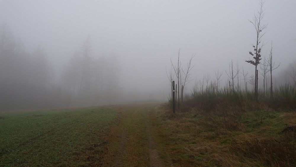 Sauerland Hoehenflug