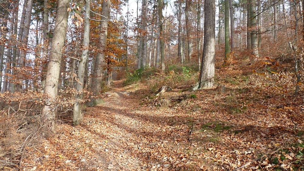 Sauerland Hoehenflug