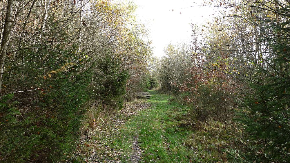 Sauerland Hoehenflug