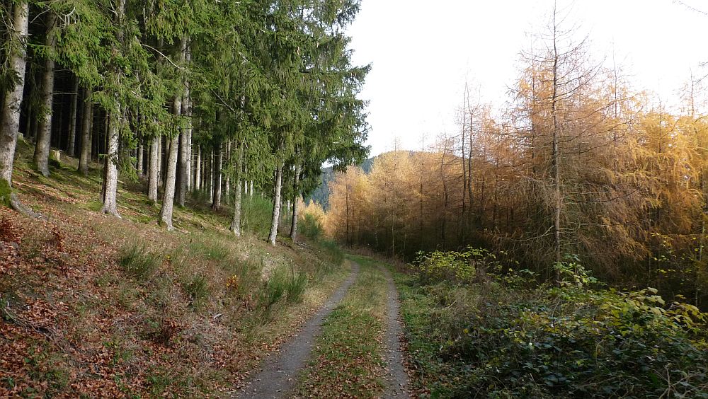 Sauerland Hoehenflug